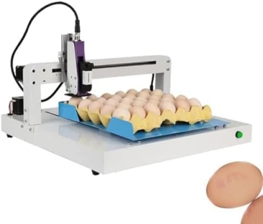 Automatic Egg Coder Machine